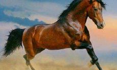 生肖马的人和生肖狗的人配吗 配对优缺点