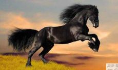 妈妈属马孩子属马相克吗？怎样化解好？