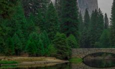 15种紫薇富贵命 子午双包格