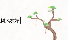 庭院种什么树风水好