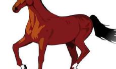 属马的和什么属相相冲相克