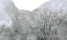 2023年1月17日出生的属兔男孩是什么命 人缘好财运旺