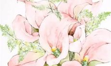 2023年1月17日出生的女孩命运如何 天生乐观头脑清晰