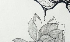 2023年1月19日出生的女宝宝命好吗 为人机智一生顺遂