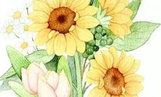 2023年1月20日出生的属兔男孩命好吗 贵人扶持衣食丰足