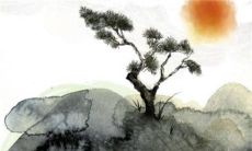 2023年出生最好的八字 2023年兔年出生运势怎么样