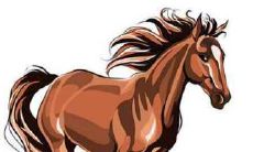 属马的和什么属相相克