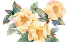 2023兔年1月18日出生的男宝宝命好吗 贵人不断事业有成