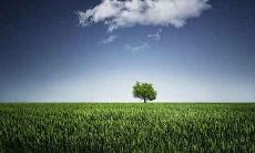 属马农历2月出生的人命好吗 属马二月出生是什么命