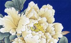 2022年11月8日适合开工吗 这天日子好不好