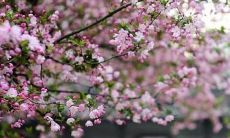 2021年农历十一月开张老黄历查询 这几天是做生意吉日