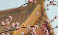 2021年农历十二月这些天适合开张 根据八字找吉日