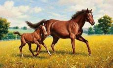 1990年属马人2021年婚姻运势好吗