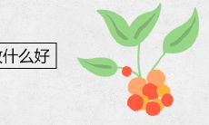 厕所风水植物放什么好