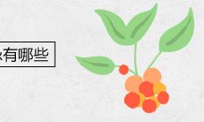 卫生间风水禁忌有哪些