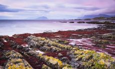 孙悦秋姓名评分81分