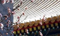 2021年阴历十一月可以开张的日子查询 黄历吉日查询