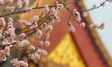 2021年阴历十二月店铺开张利日一览表 好日子分析