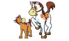 属马和属马婚配婚姻好不好,两夫妻都属马好不好