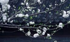 2021年新历12月哪几天适合开张做生意 吉日分析