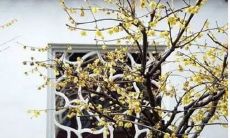 2021年农历十二月开张黄道吉日有几天 这些天日子吉利