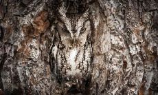 卫剑皓姓名评分73分