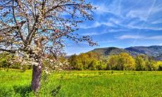 郝雅蓉姓名评分90分