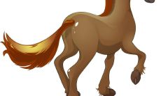 2023年属马女事业发展怎么样 要避免遇到小人陷害