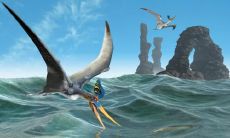 平善华姓名评分88分