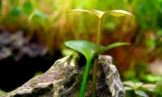 荣志斌姓名评分74分