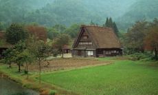 江文滨姓名评分81分