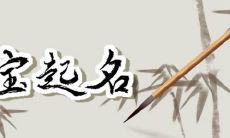 2023属虎男宝姓杨的名字 使用简单大气的取名