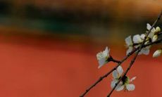 2021年农历十一月开张黄道吉日有几天 这些天日子吉利