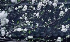 2021年12月公司开张大吉日子 吉日查询有门道