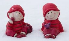 属马人的一生运势的分析 很努力收获多