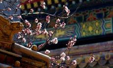 2021年农历十二月开张老黄历查询 这几天是做生意吉日