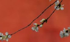 2021年农历十一月这些天适合开张 根据八字找吉日