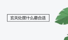 玄关处摆什么最合适