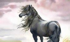 今年属马人的运势好不好2021年