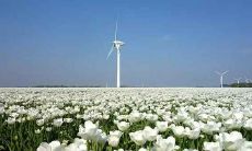 2014马宝宝出生最好命 2014年出生的孩子是什么命