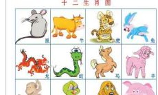 1978年属马的贵人是谁