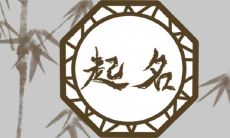 2023年属兔的孩子起什么名字 文学寓意丰富的新生儿起名