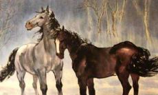 90年出生的生肖马，在2021年会有好的财运吗