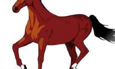 属马2020年运势及运程 属马人2020全年每月运势