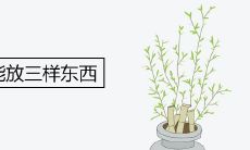 床底下不能放三样东西