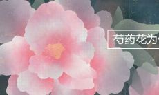 芍药花为什么不能栽在院子里