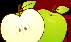 属马人在2023年的健康运势好不好