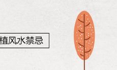 庭院红枫种植风水禁忌