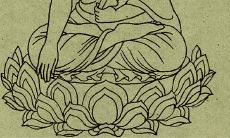 一进门对着富贵竹好吗 有哪些风水禁忌