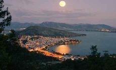 属马2021牛年感情婚姻运势好吗